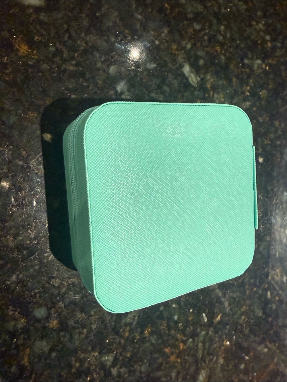 Turquoise Travel Electronics Accessories Case - Protective Zipper Pouch